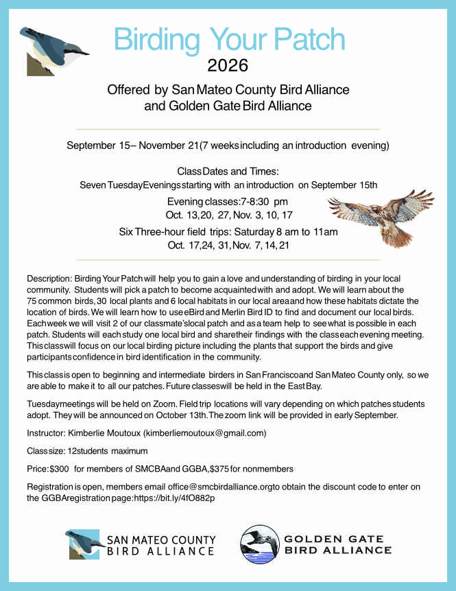 Birding your Patch 2026